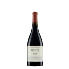 Trivento Gran Reserva Syrah 2006 750