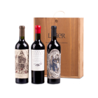 Selección Especial Catena Zapata Cofre X 3